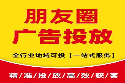 成功SEM服务案例分析报告